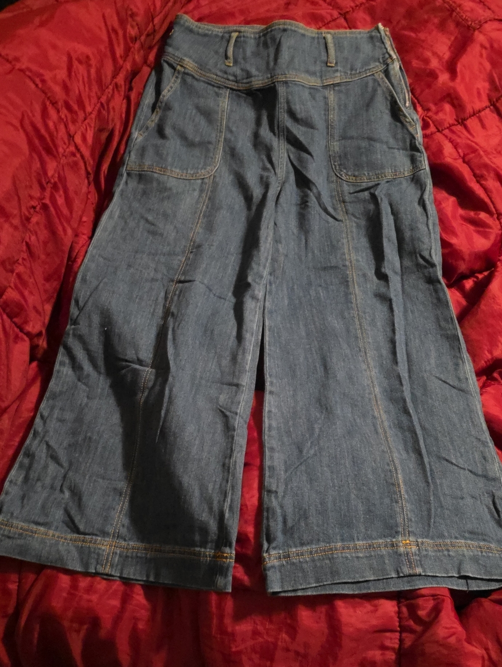 Anthropologie Pilcro And The Letter Press Wide-Leg Cropped Jeans Sz 29